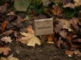 image of grave number 212637